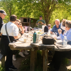 A picnic in the woods